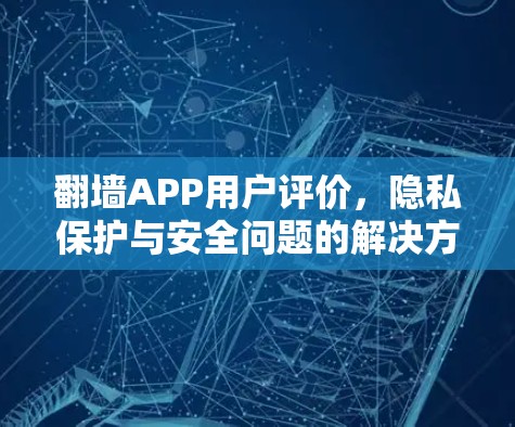 翻墙APP用户评价，隐私保护与安全问题的解决方案