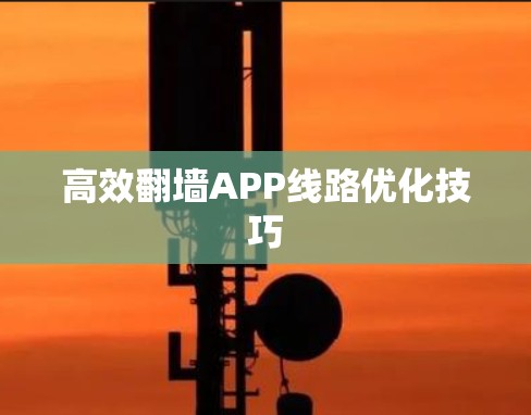 高效翻墙APP线路优化技巧