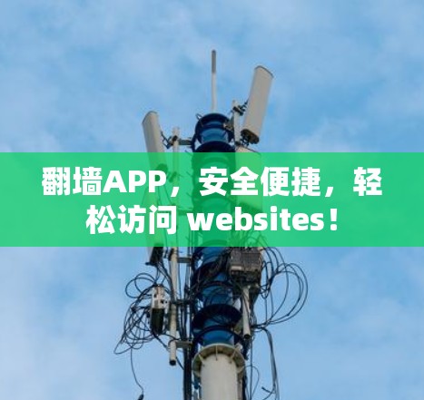 翻墙APP，安全便捷，轻松访问 websites！