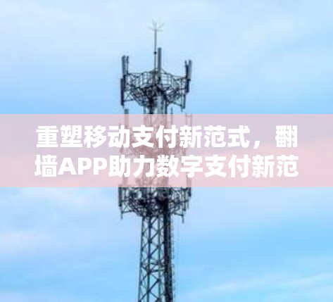 重塑移动支付新范式,翻墙APP助力数字支付新范式 重塑移动支付新范式,翻墙APP助力数字支付新范式