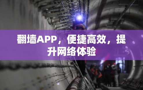 翻墙APP,便捷高效,提升网络体验 翻墙APP,便捷高效,提升网络体验