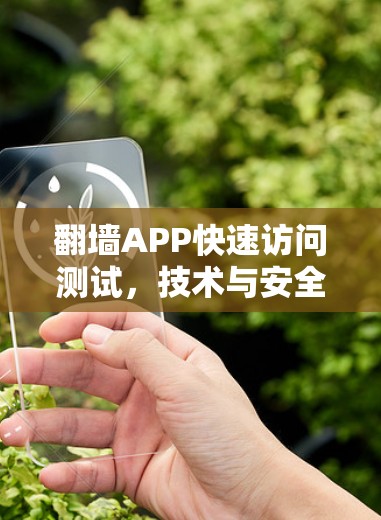 翻墙APP快速访问测试，技术与安全的双重挑战