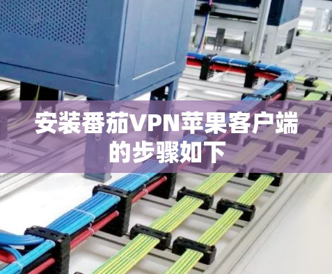 安装番茄VPN苹果客户端的步骤如下