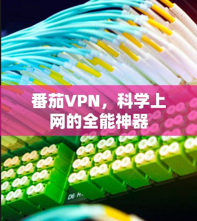 番茄VPN，科学上网的全能神器