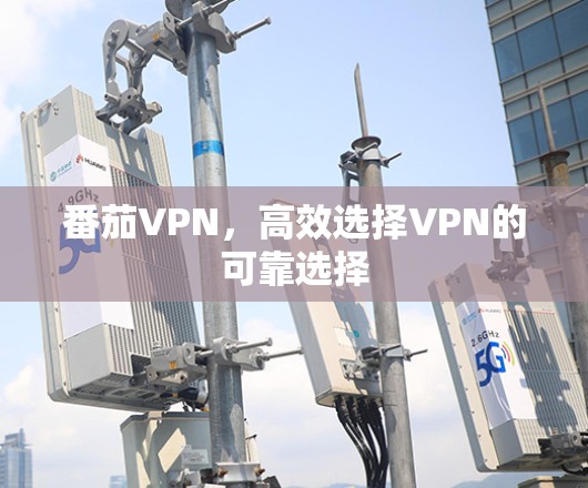 番茄VPN,高效选择VPN的可靠选择