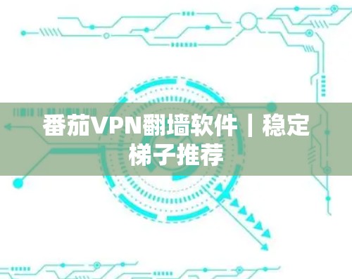 番茄VPN翻墙软件|稳定梯子推荐