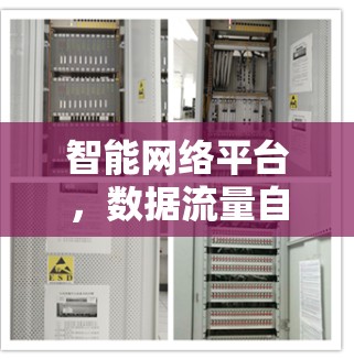 智能网络平台，数据流量自动管理