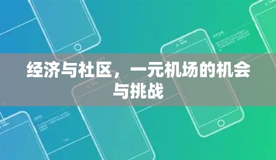 经济与社区,一元机场的机会与挑战