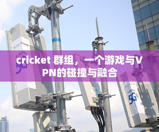 cricket 群组,一个游戏与VPN的碰撞与融合 cricket 群组,一个游戏与VPN的碰撞与融合