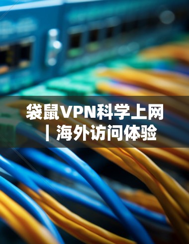 袋鼠VPN科学上网｜海外访问体验