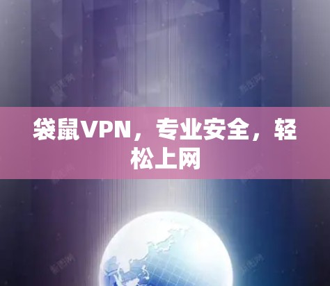 袋鼠VPN,专业安全,轻松上网 袋鼠VPN,专业安全,轻松上网
