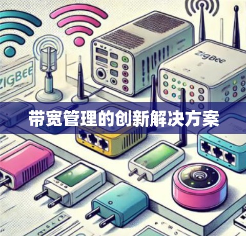 带宽管理的创新解决方案 带宽管理的创新解决方案