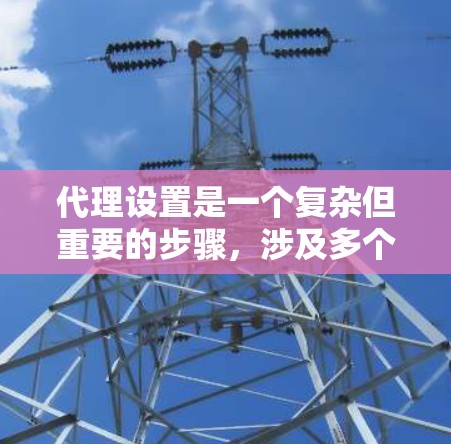 代理设置是一个复杂但重要的步骤，涉及多个部分的配置和调整。以下是对代理设置的总结和建议