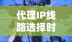 代理IP线路选择时，需要综合考虑业务需求、网络扩展性、设备数量、成本、信号稳定性等因素。以下是对不同网络类型的选择建议