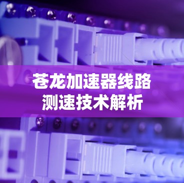 苍龙加速器线路测速技术解析 苍龙加速器线路测速技术解析