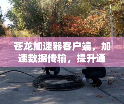 苍龙加速器客户端,加速数据传输,提升通信体验 苍龙加速器客户端,加速数据传输,提升通信体验