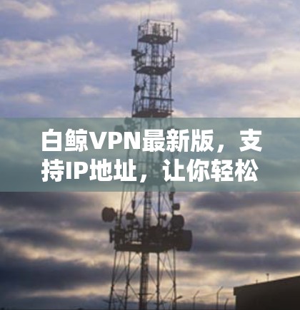 白鲸VPN最新版，支持IP地址，让你轻松连接世界