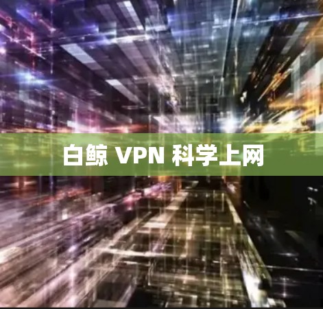 白鲸 VPN 科学上网