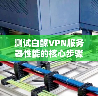 测试白鲸VPN服务器性能的核心步骤如下