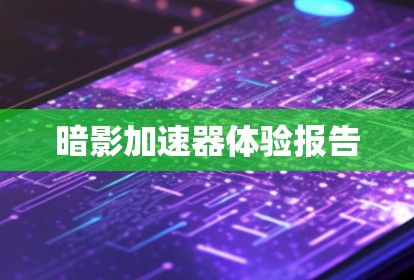 暗影加速器体验报告