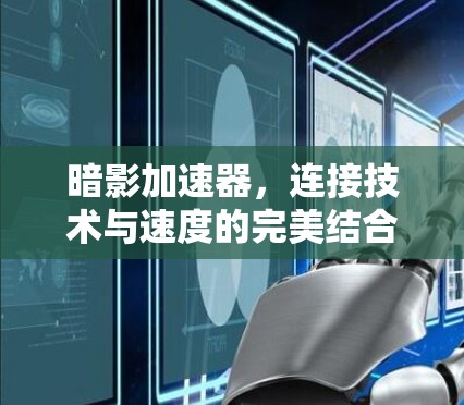 暗影加速器，连接技术与速度的完美结合