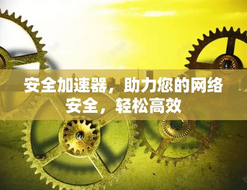 安全加速器，助力您的网络安全，轻松高效