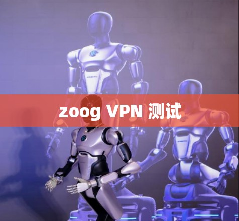 zoog VPN 测试