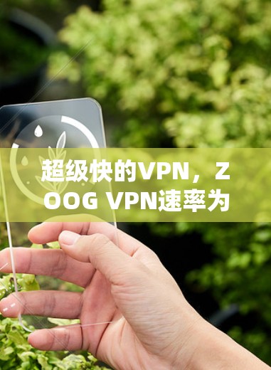 超级快的VPN，ZOOG VPN速率为你的生活添一份快感