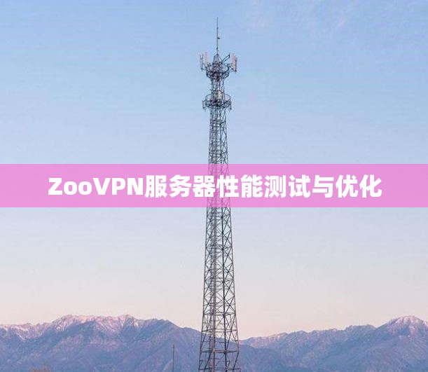 ZooVPN服务器性能测试与优化