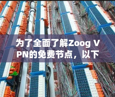 为了全面了解Zoog VPN的免费节点，以下是一个结构化的指南，帮助你做出明智的选择
