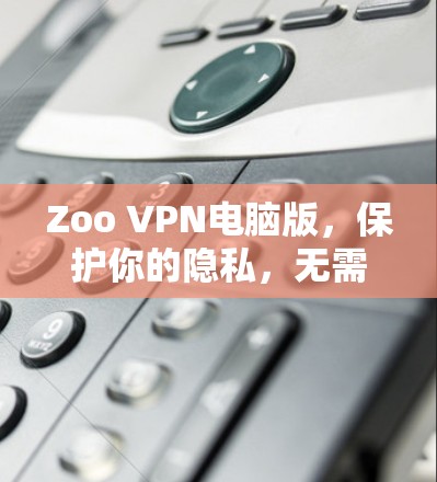 Zoo VPN电脑版，保护你的隐私，无需网络