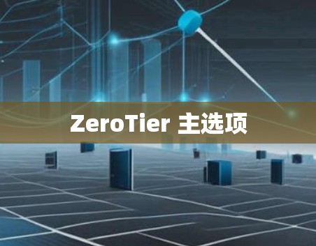 ZeroTier 主选项