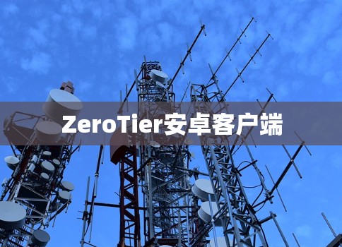 ZeroTier安卓客户端 ZeroTier安卓客户端