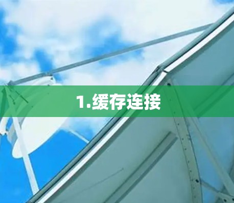 1.缓存连接