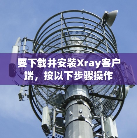 要下载并安装Xray客户端，按以下步骤操作