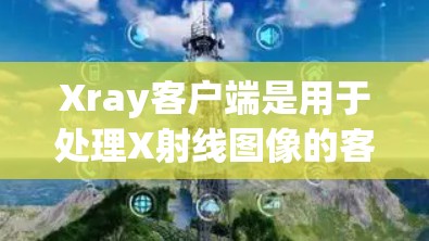 Xray客户端是用于处理X射线图像的客户端应用，通常用于分析和处理图像数据。由于Xray客户端可能需要特定的软件支持，用户在选择代理软件时需要考虑以下因素