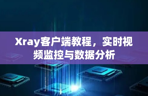 Xray客户端教程，实时视频监控与数据分析