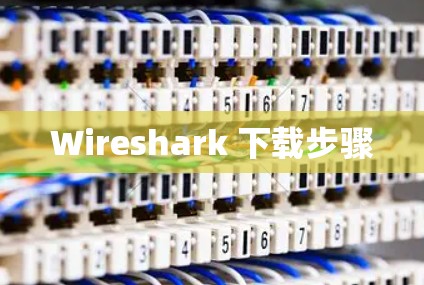 Wireshark 下载步骤