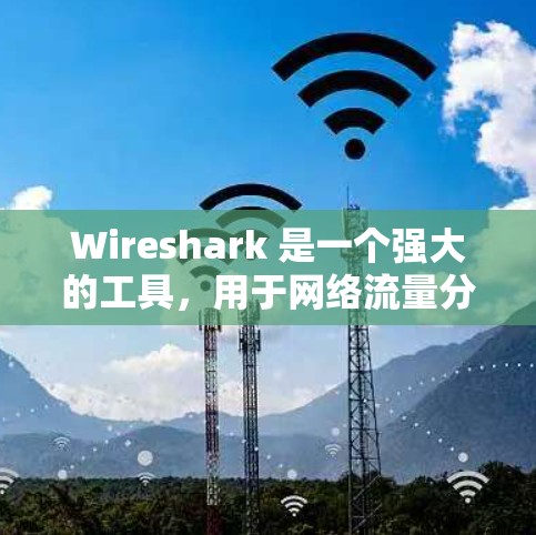 Wireshark 是一个强大的工具，用于网络流量分析和处理。以下是对Wireshark 的详细指南，帮助你更好地理解和使用该工具