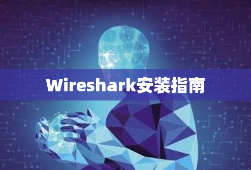 Wireshark安装指南