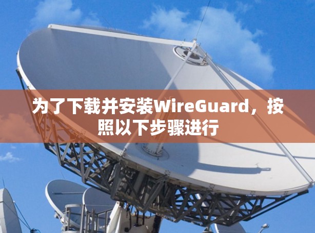 为了下载并安装WireGuard,按照以下步骤进行 为了下载并安装WireGuard,按照以下步骤进行