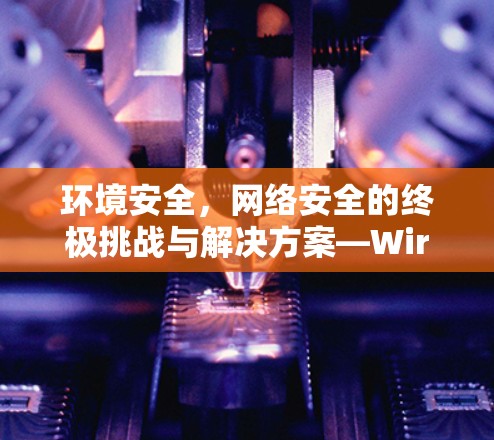 环境安全，网络安全的终极挑战与解决方案—WireGuard最新版本