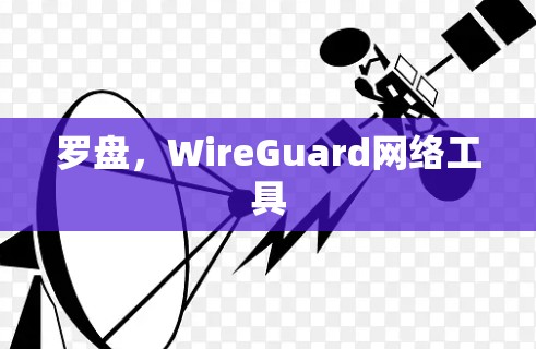 罗盘,WireGuard网络工具