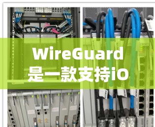 WireGuard是一款支持iOS和Android的网络视频保护和VPN工具，适合个人使用、移动办公以及偶尔需要VPN的情况。以下是使用WireGuard的iOS VPN工具的步骤指南