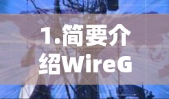1.简要介绍WireGuard配置的重要性