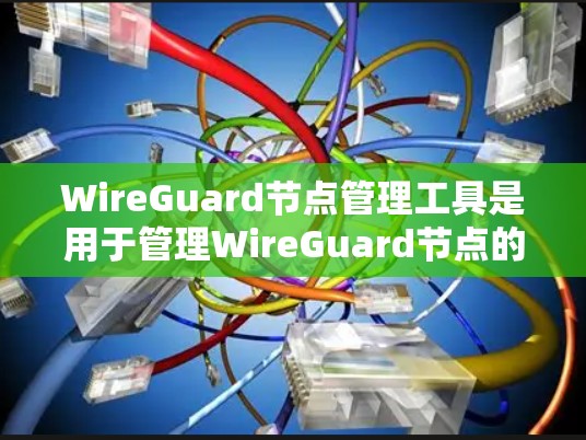 WireGuard节点管理工具是用于管理WireGuard节点的软件或应用，旨在帮助用户创建、删除、编辑和管理节点，同时保持网络的安全性。以下是详细的步骤说明