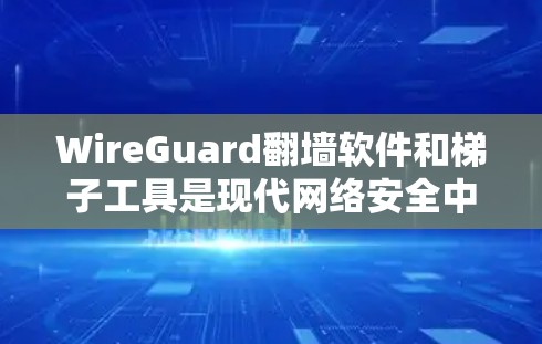 WireGuard翻墙软件和梯子工具是现代网络安全中常用的工具，各有其独特的优势和应用场景。以下是对它们的详细分析