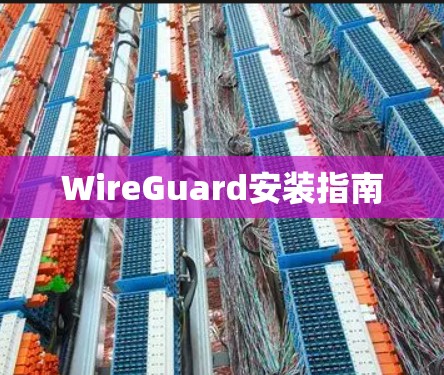 WireGuard安装指南 WireGuard安装指南
