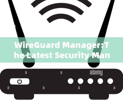 WireGuard Manager:The Latest Security Management Tool for Network Professionals
