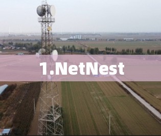 1.NetNest 1.NetNest